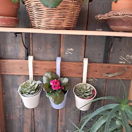 Prázdninový dům La Dimora Segreta